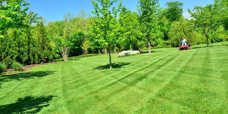 Minocqua Lawn Mowing Services