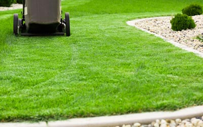 Minocqua Lawn Care Services